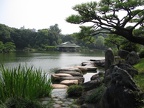 Oase in der Großstadt Tokyo