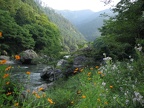 Im westlichen Hinterland Tokyos