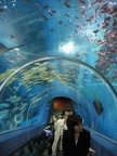 Yokohama Hakkeijima Sea Paradise