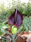 IMG 0844