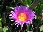 IMG 0845