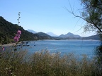 IMG 0840