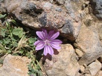 IMG 0853