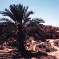 Königsgräber in Paphos