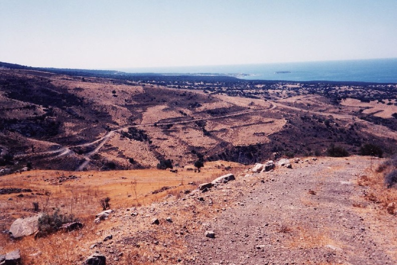 cyp10.jpg