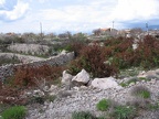 2005-05-15-16-11-21
