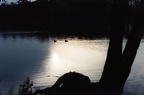Am Lehnitzsee Oranienburg