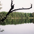 Am Grabowsee Oranienburg