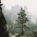 Im Elbsandsteingebirge