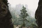Im Elbsandsteingebirge