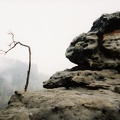 im Elbsandsteingebirge