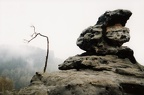 im Elbsandsteingebirge