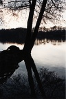 Am Lehnitzsee Oranienburg