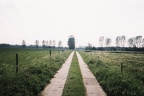 Brandenburger Landschaft