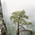 Im Elbsandsteingebirge