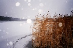 Winter am See