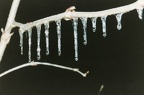 Eiszeit
