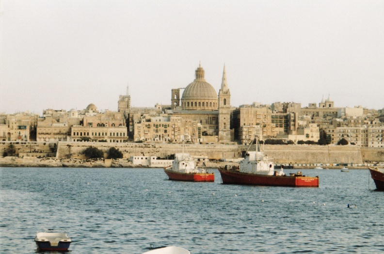 mlt_05.jpg