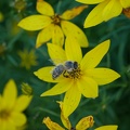 P1000595