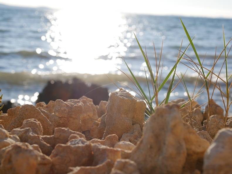 P1000391.JPG