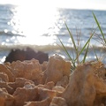 P1000391