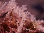 P1000398