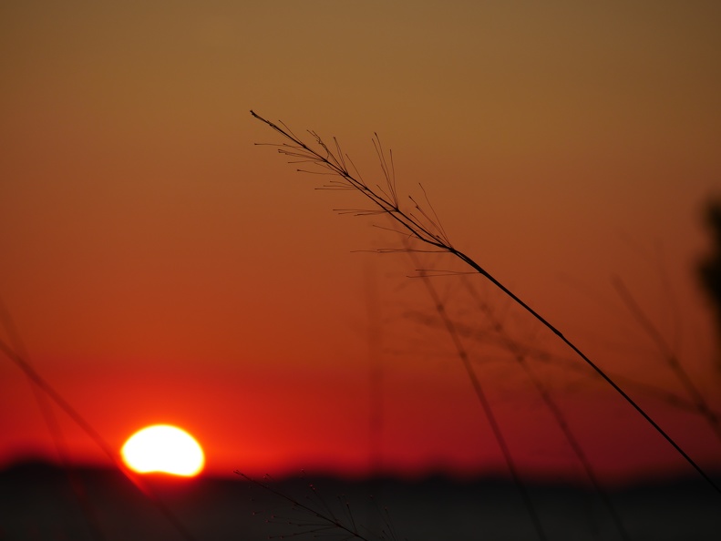 P1000415.JPG