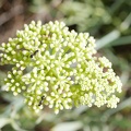 P1000343