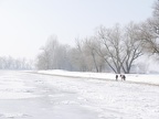 Winter an der Donau (Winzer)