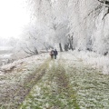 Winter an der Donau (Winzer)