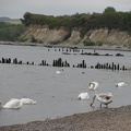 Strand bei Glowe auf Rügen