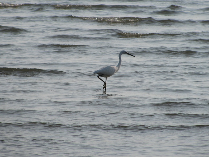 IMG_1683.JPG