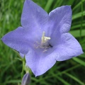 2005-06-12-10-33-07