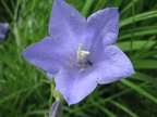 2005-06-12-10-33-07