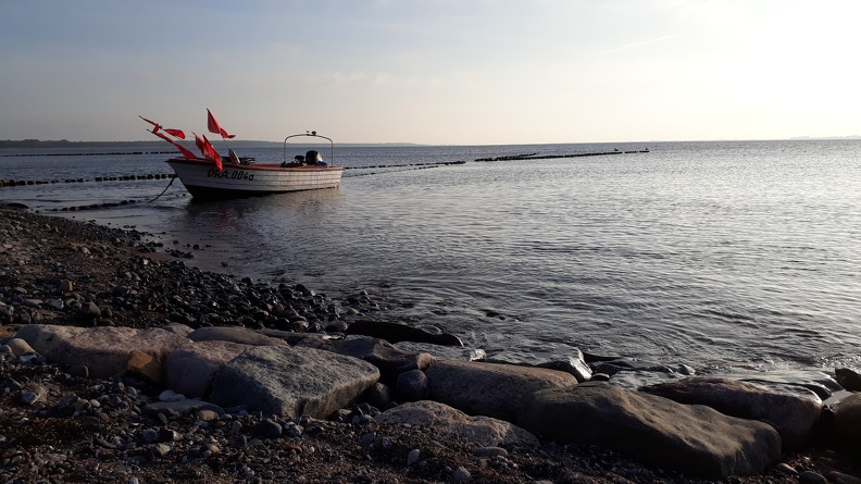 20190923_174101.jpg