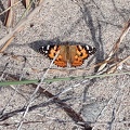 Am Strand von Dranske / Rügen