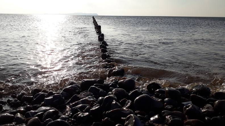 20190923_165455.jpg
